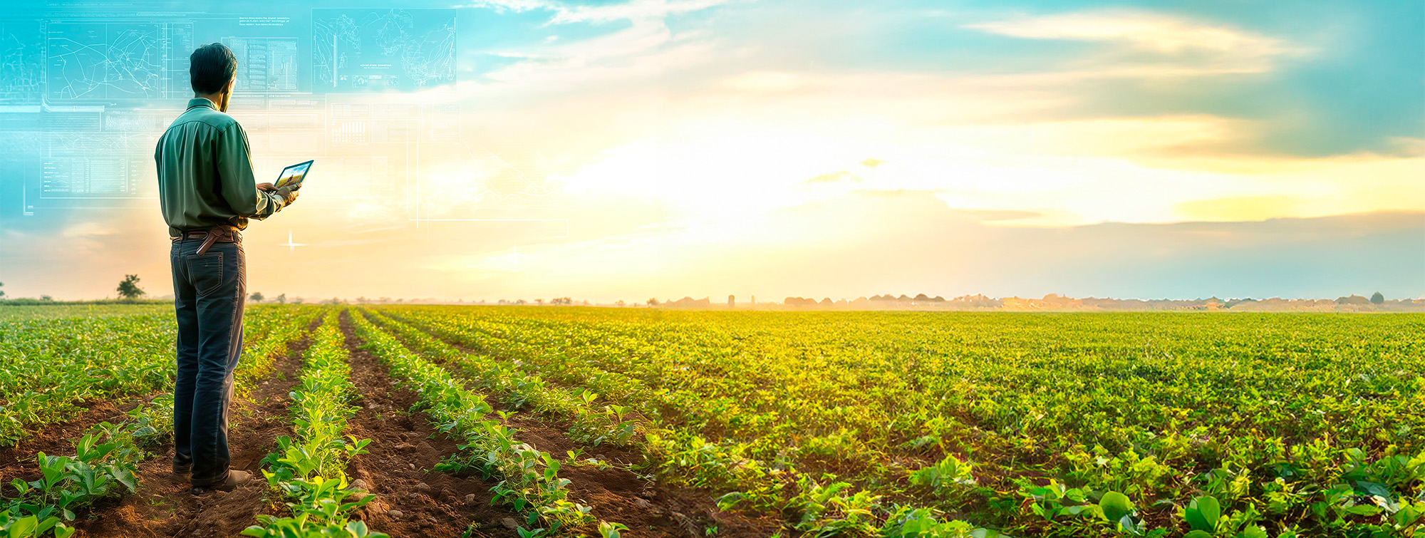 SIA'PRO 2025 key visual, Agricultural Technologies and Solutions exhibition, taking place from February 23 to 25, 2025, at Paris Expo Porte de Versailles, featuring illustrations of man standing in a crop field using a digital tablet, illustrating artificial intelligence applied to agriculture.